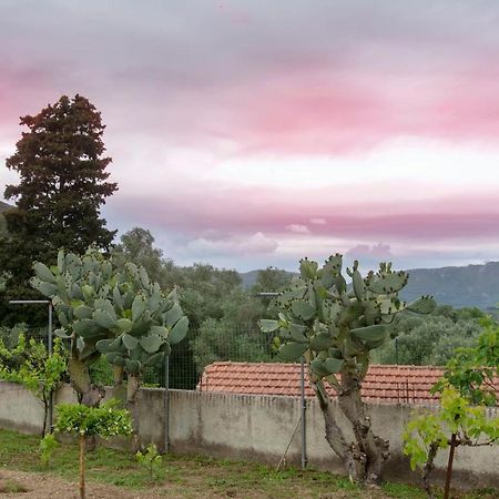 Kanakades Village House Corfu  ภายนอก รูปภาพ